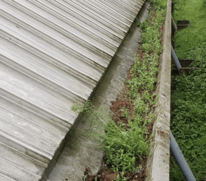 Happy customers in Gerrards Cross who trust The Roof Moss Cleaners for gutter cleaning services